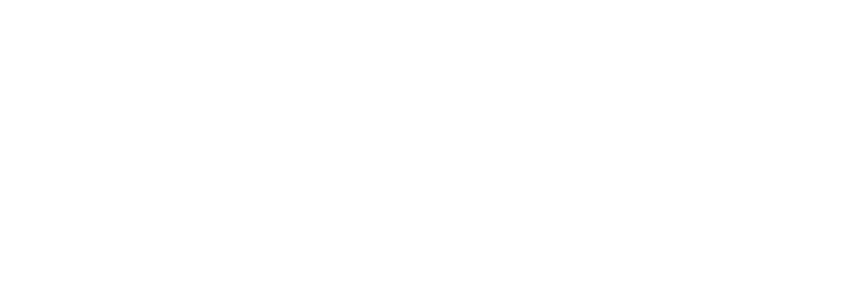 LiveSketch logo